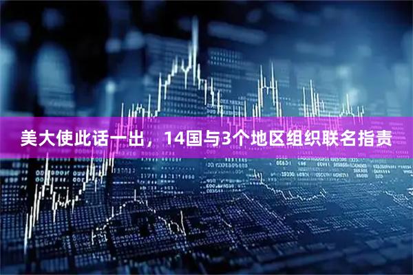 美大使此话一出，14国与3个地区组织联名指责