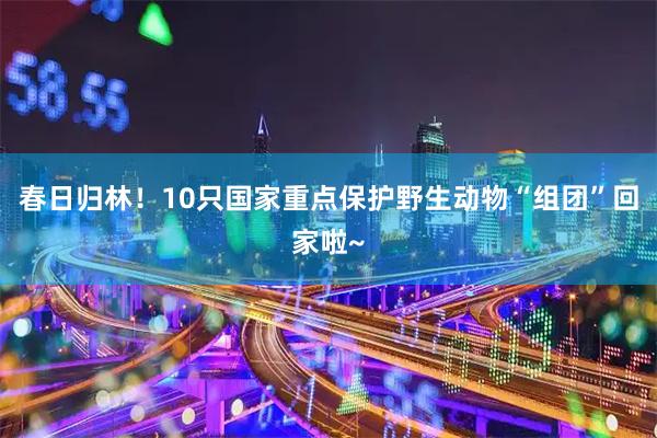 春日归林！10只国家重点保护野生动物“组团”回家啦~
