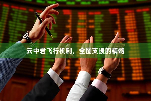 云中君飞行机制，全图支援的精髓