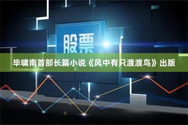 毕啸南首部长篇小说《风中有只渡渡鸟》出版